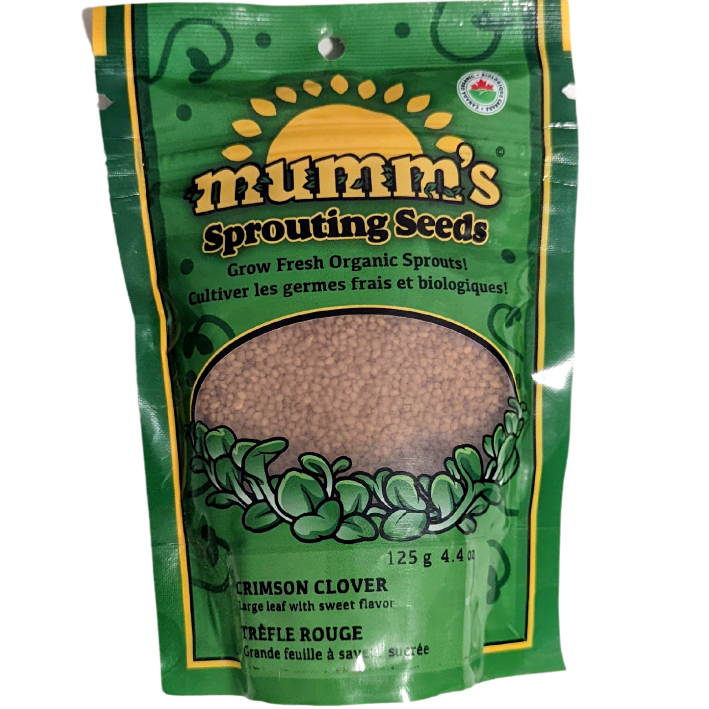Mumm's Sprouts Crimson Clover