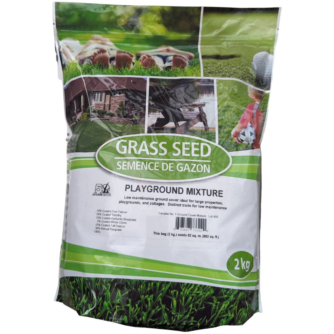Grass Seed Playground Mix 2Kg