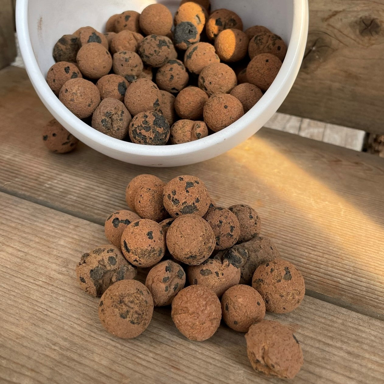 Leca Pellets Liaflor 1L