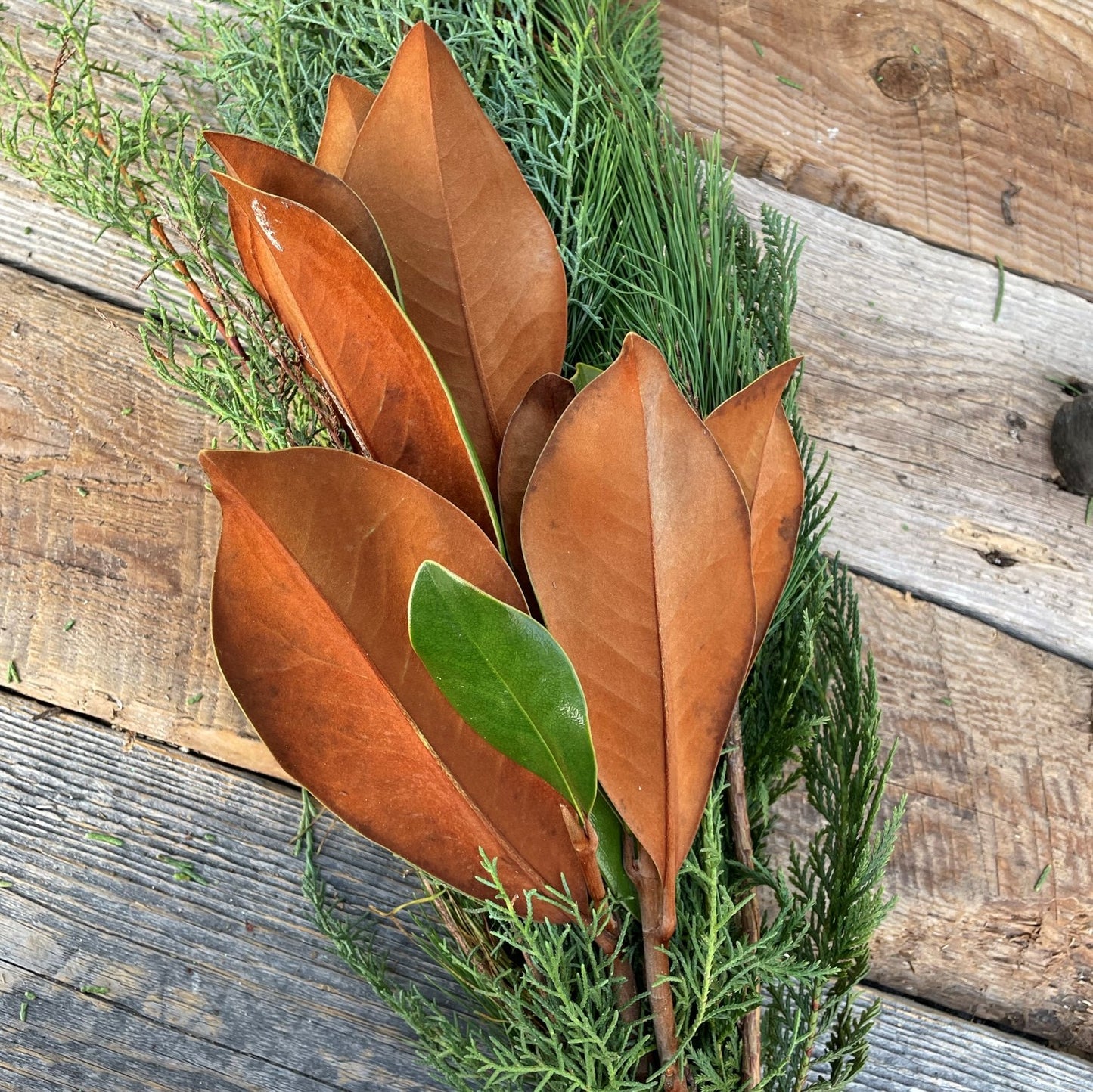 Fresh Greens Bouquet Frosty