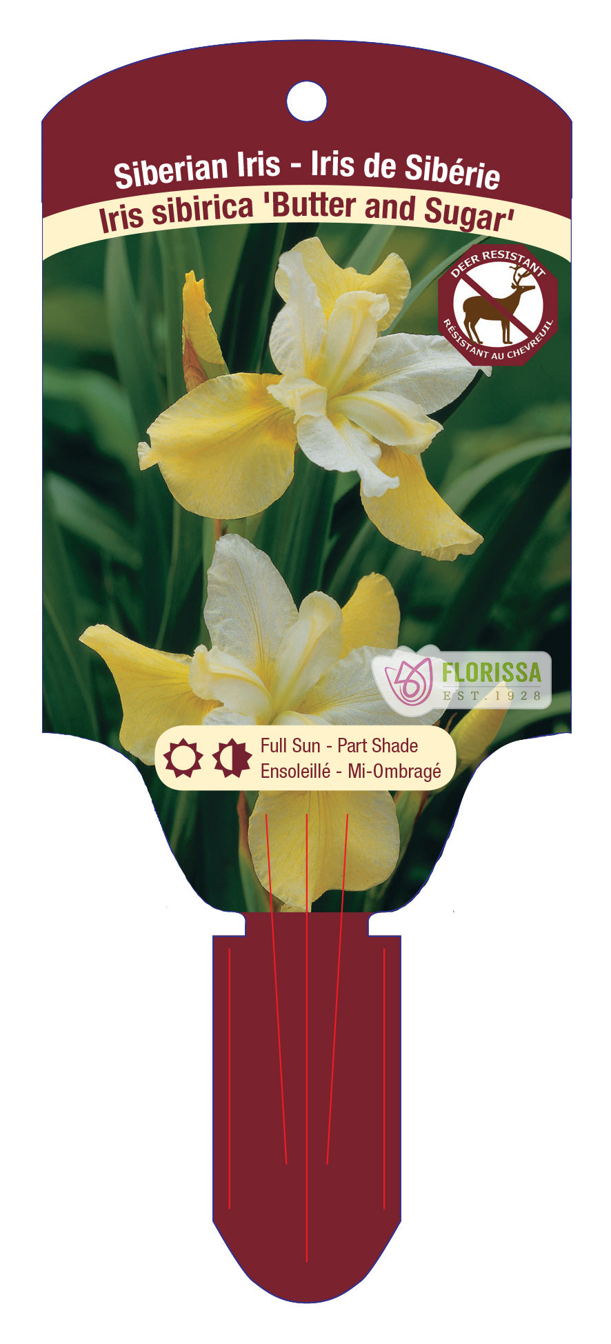 Iris Butter and Sugar 5.5" Pot