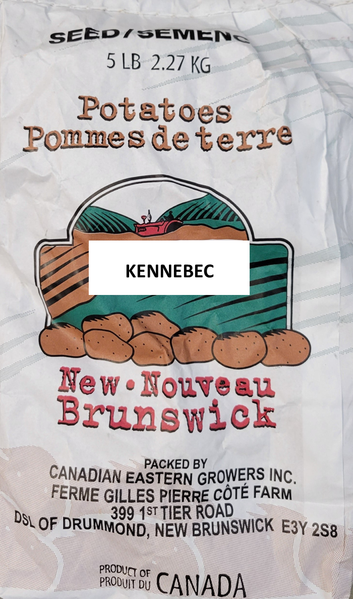 Potatoes Kennebec Seed