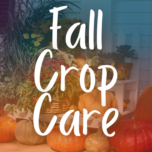 Fall Crop Care