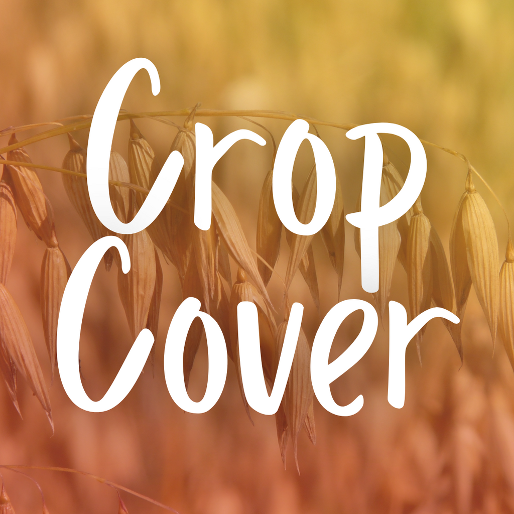 Harnessing the Power of Crop Cover and Green Manure for Sustainable Gardening