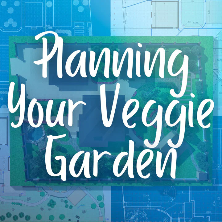 Planning Your Vegetable Garden