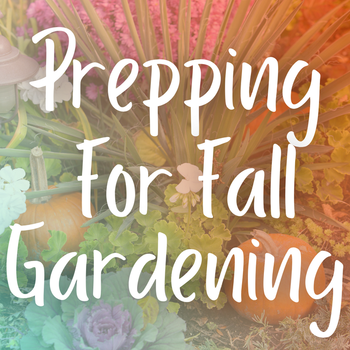 Fall Gardening