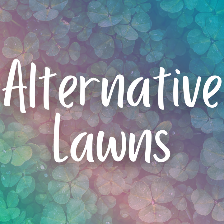 Alternative Lawns