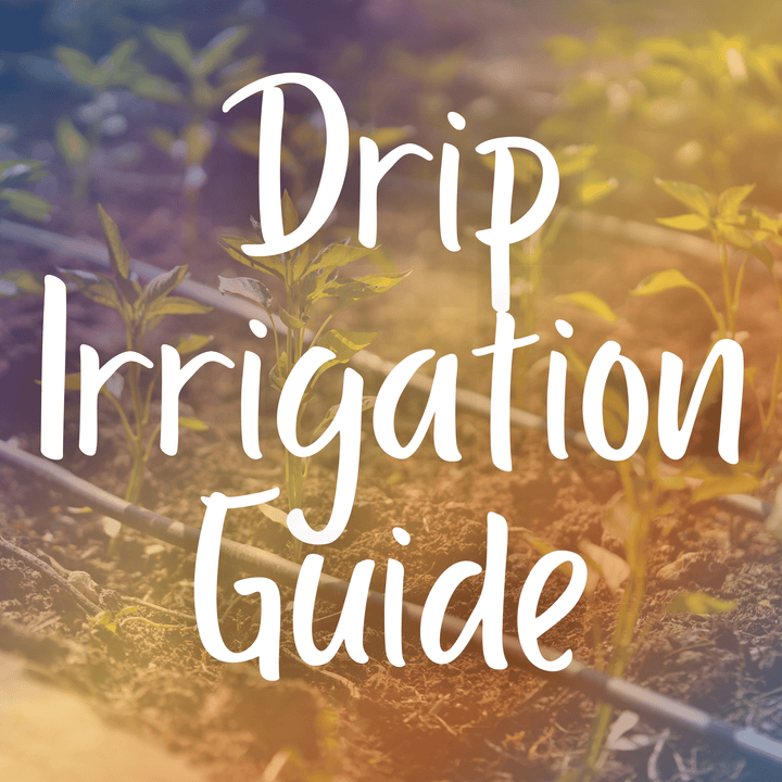 Drip Irrigation
