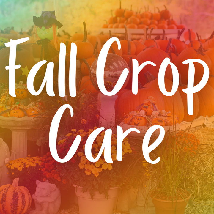 Fall Crop Care