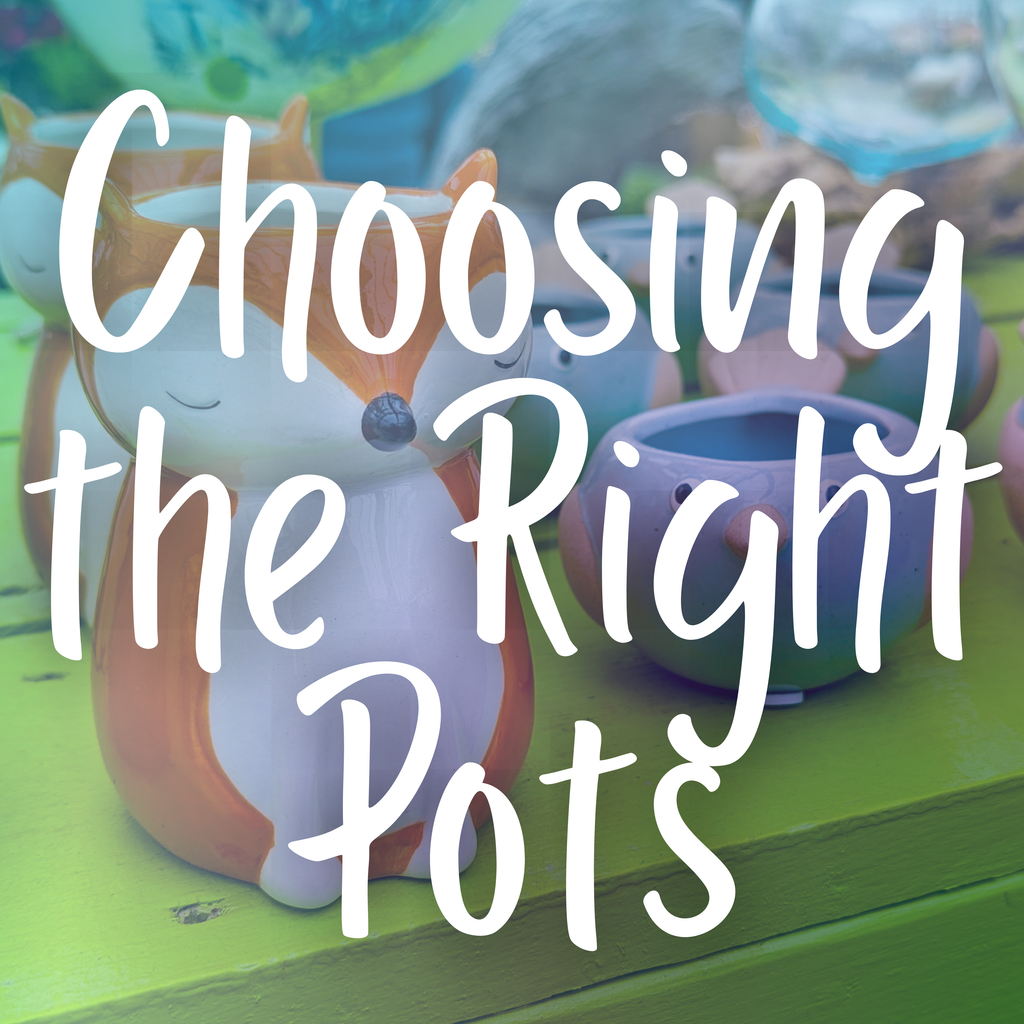 Choosing the Right Pots