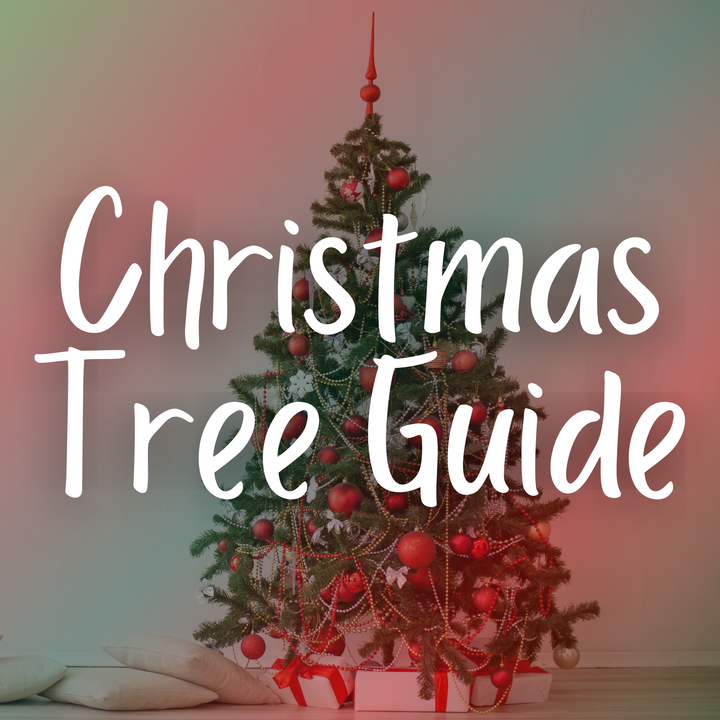 Guide to Christmas Trees