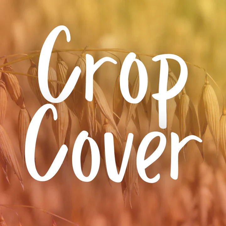 Cover Crops