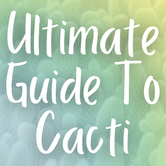 The Ultimate Guide to Cacti