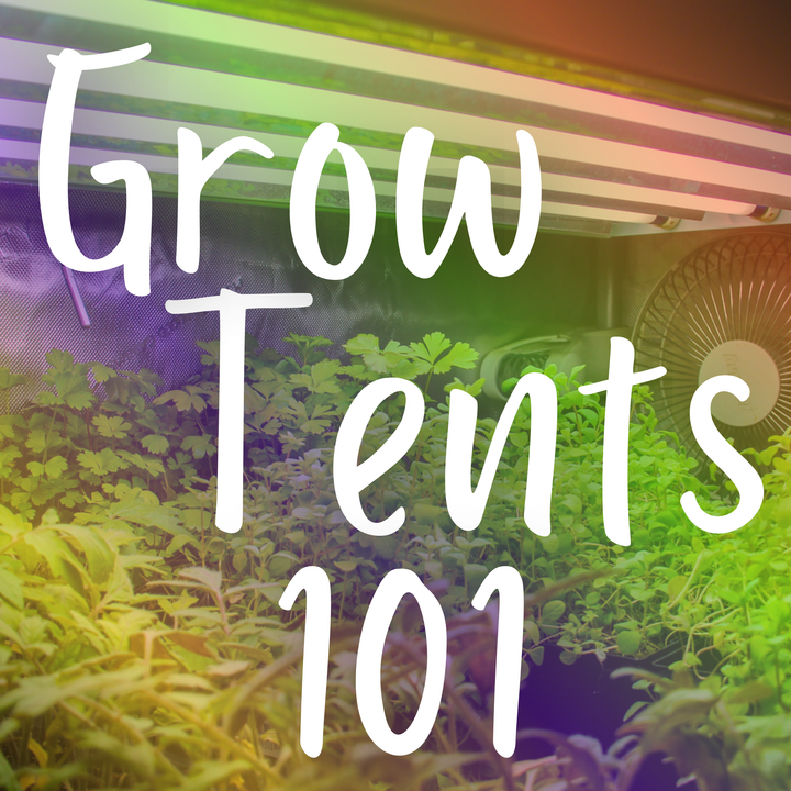 Grow Tents 101
