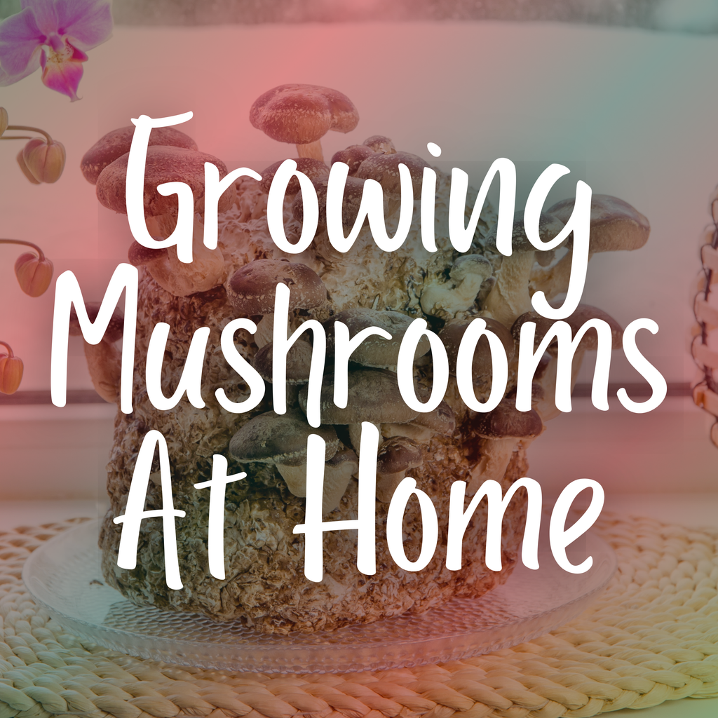 Growing Gourmet Mushrooms