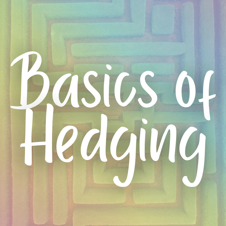 Basics of Hedging