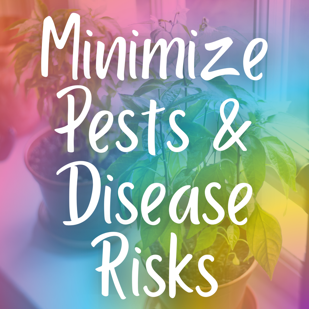 Keep it Clean- How to minimize risks of pests and disease