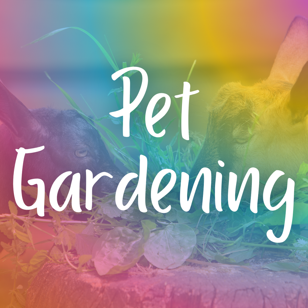 Pet Gardening