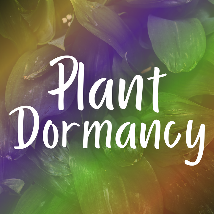 Plant Dormancy