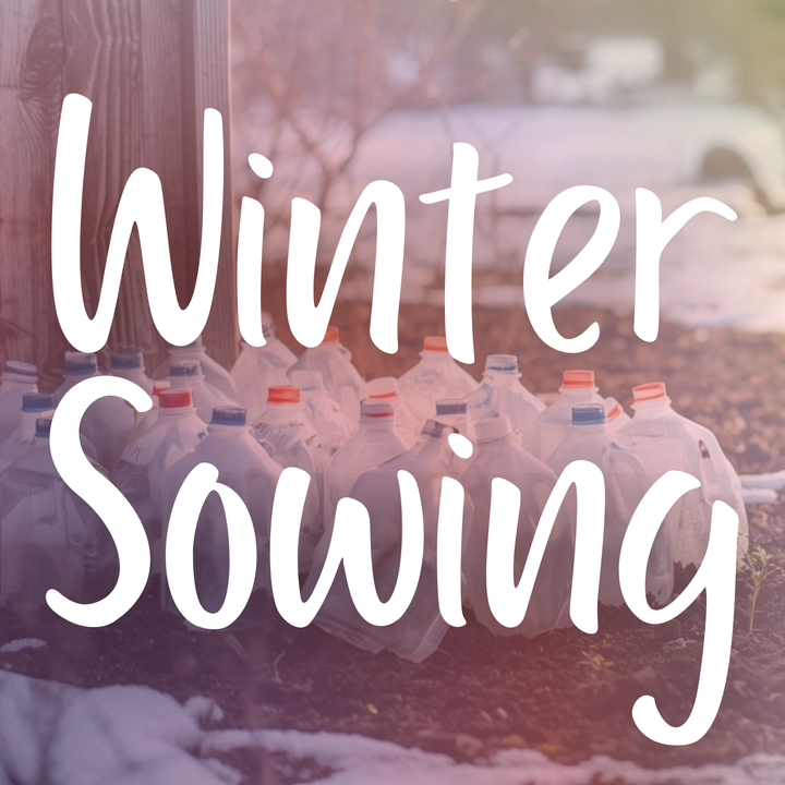 Winter Sowing
