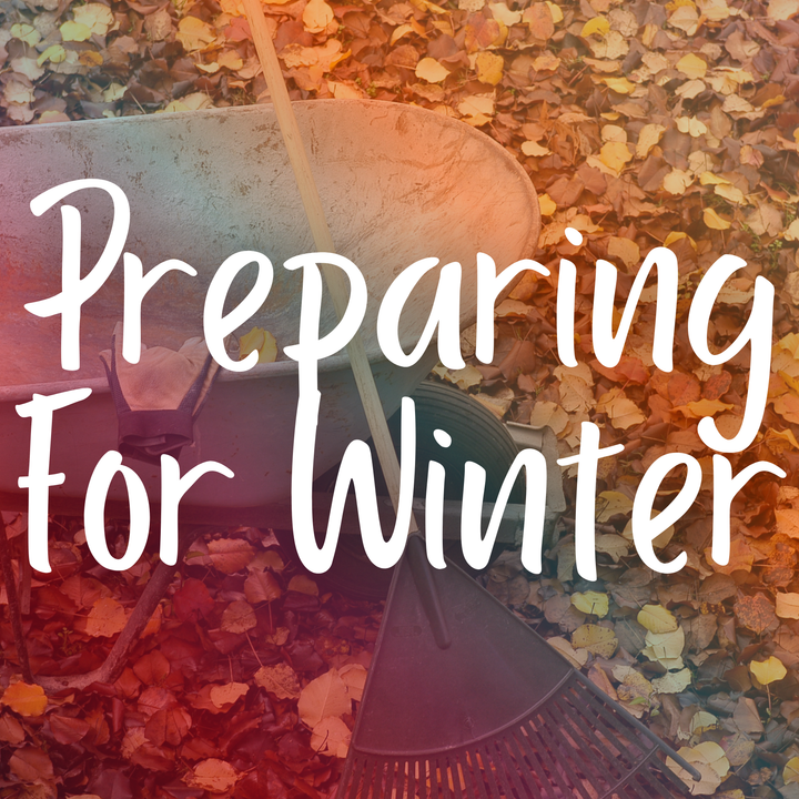 Winter Prep 101
