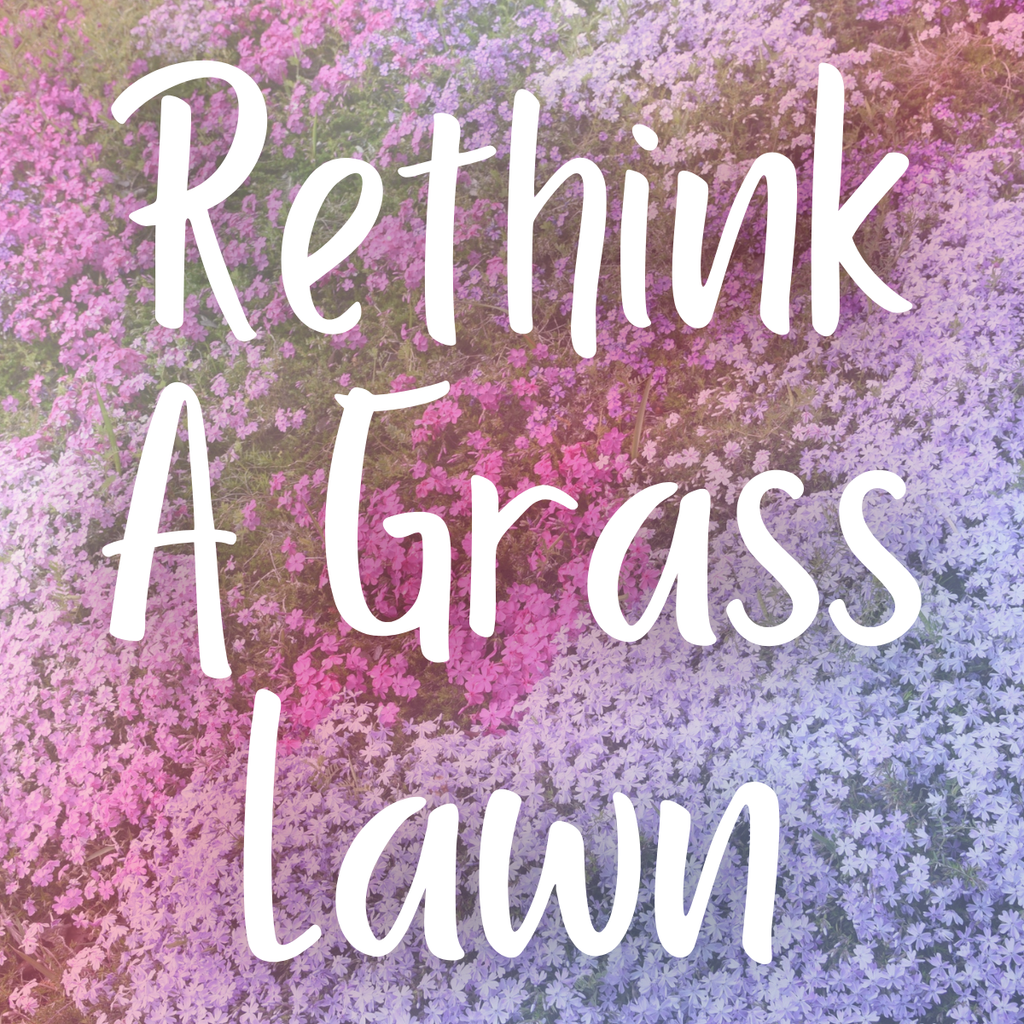 Rethink A Grass Lawn