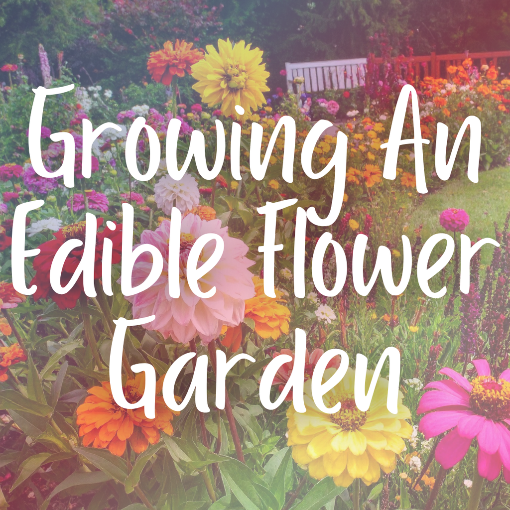 Edible Flower Gardening