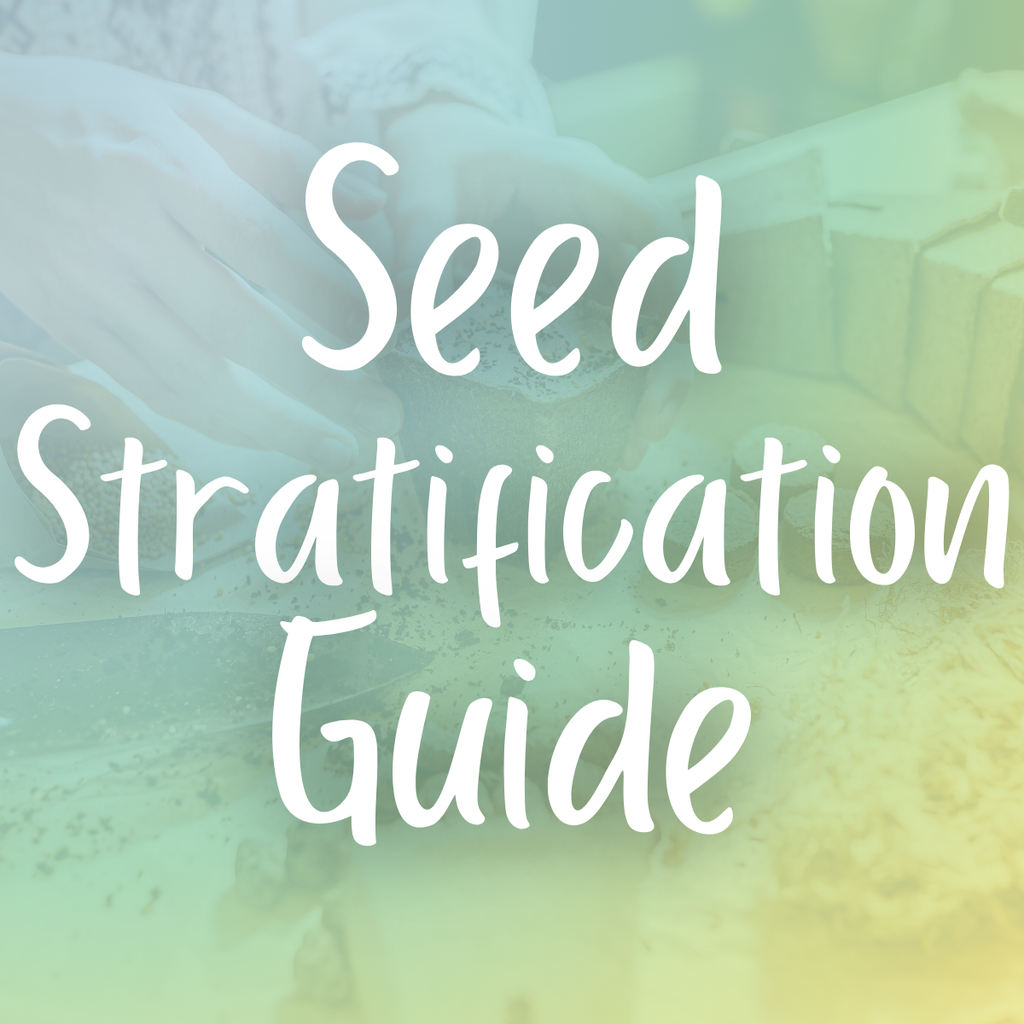 The Essential Guide to Stratification
