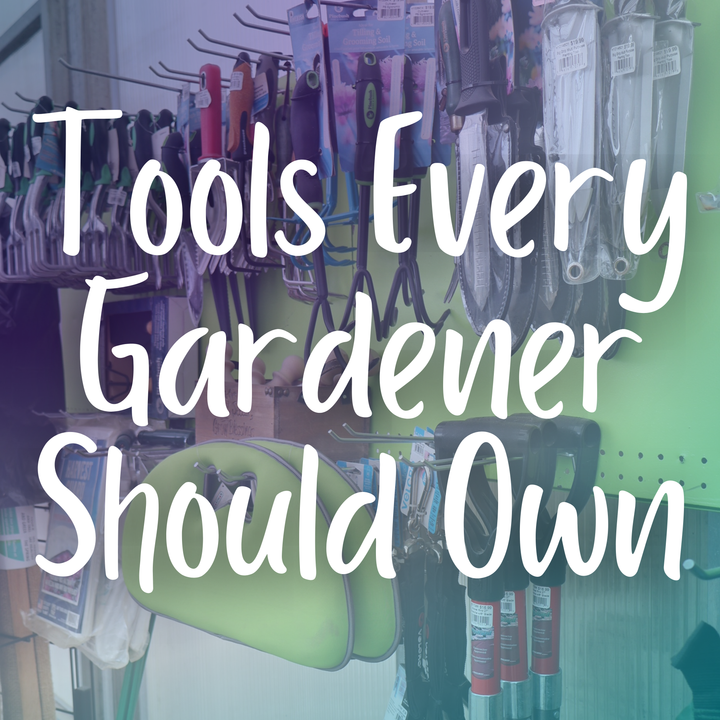 Tools Every Indoor Gardener Should Own