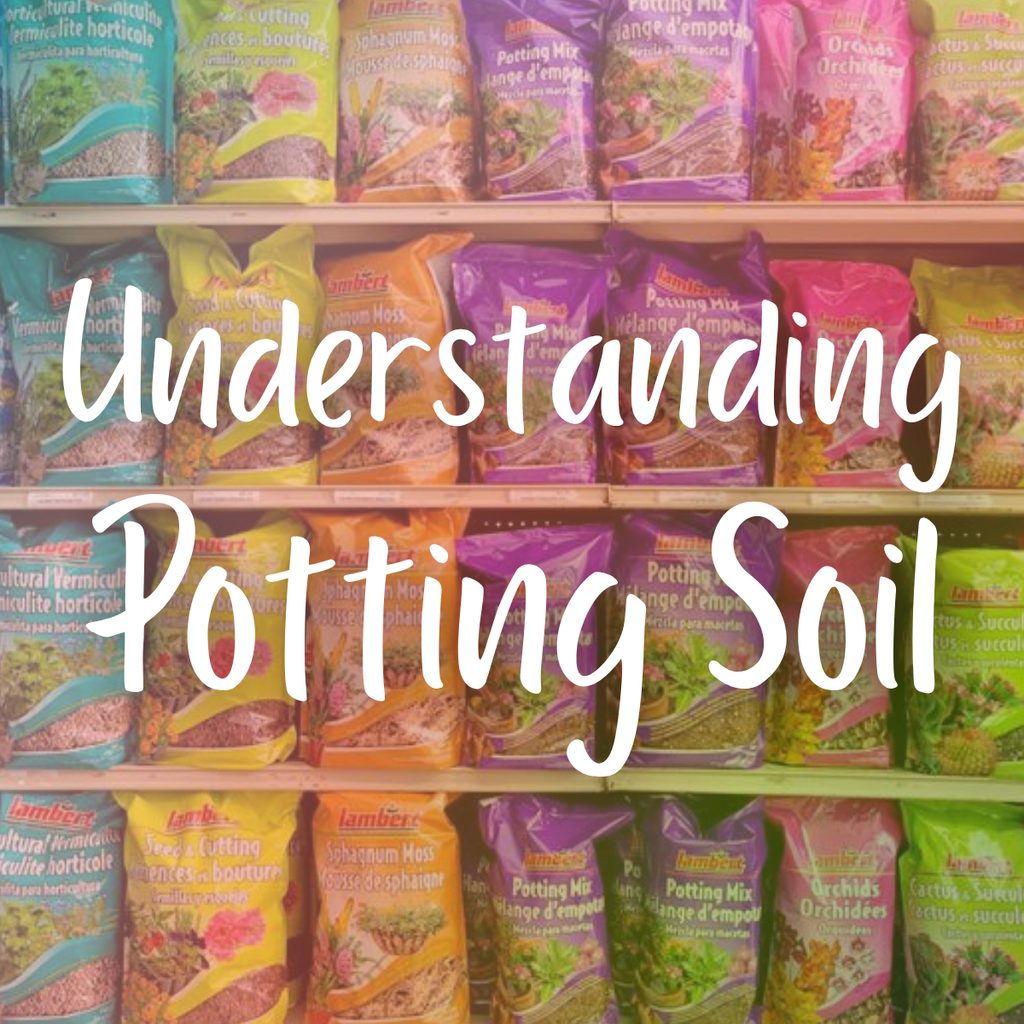 Understanding Potting Soil