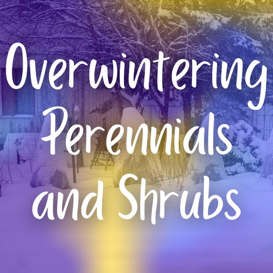 Overwintering Perennials and Shrubs