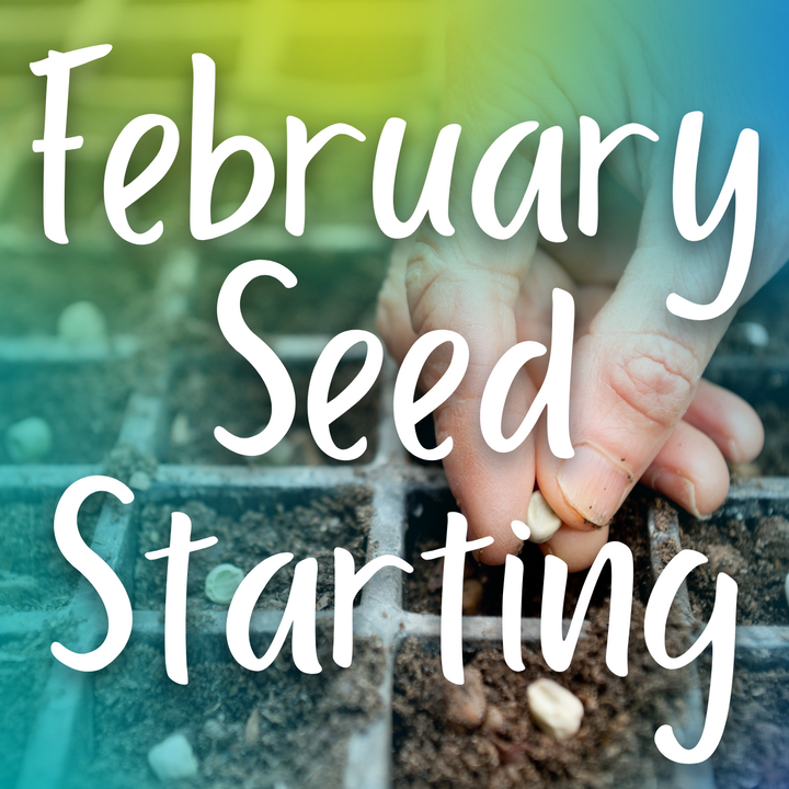 February Seed Starting!