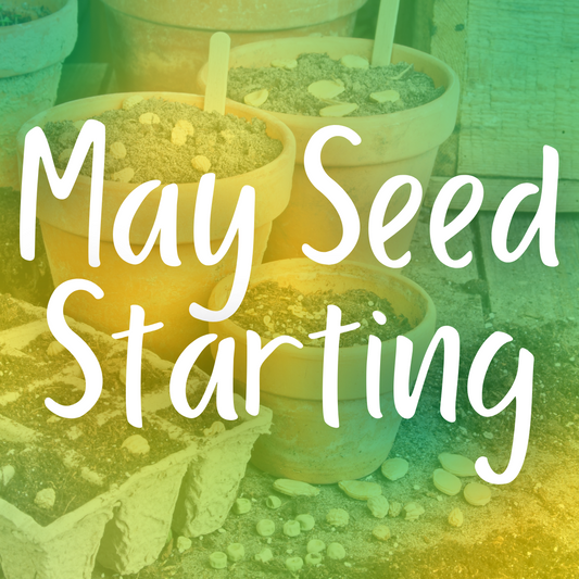 May Seed Starting