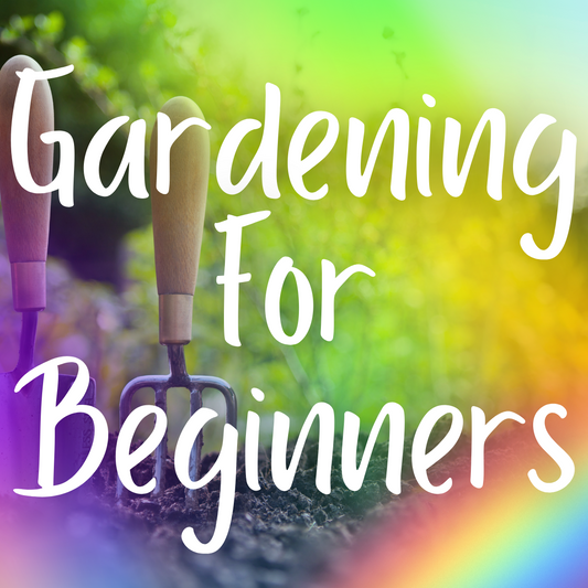Gardening For Beginners: How To Start And Succeed