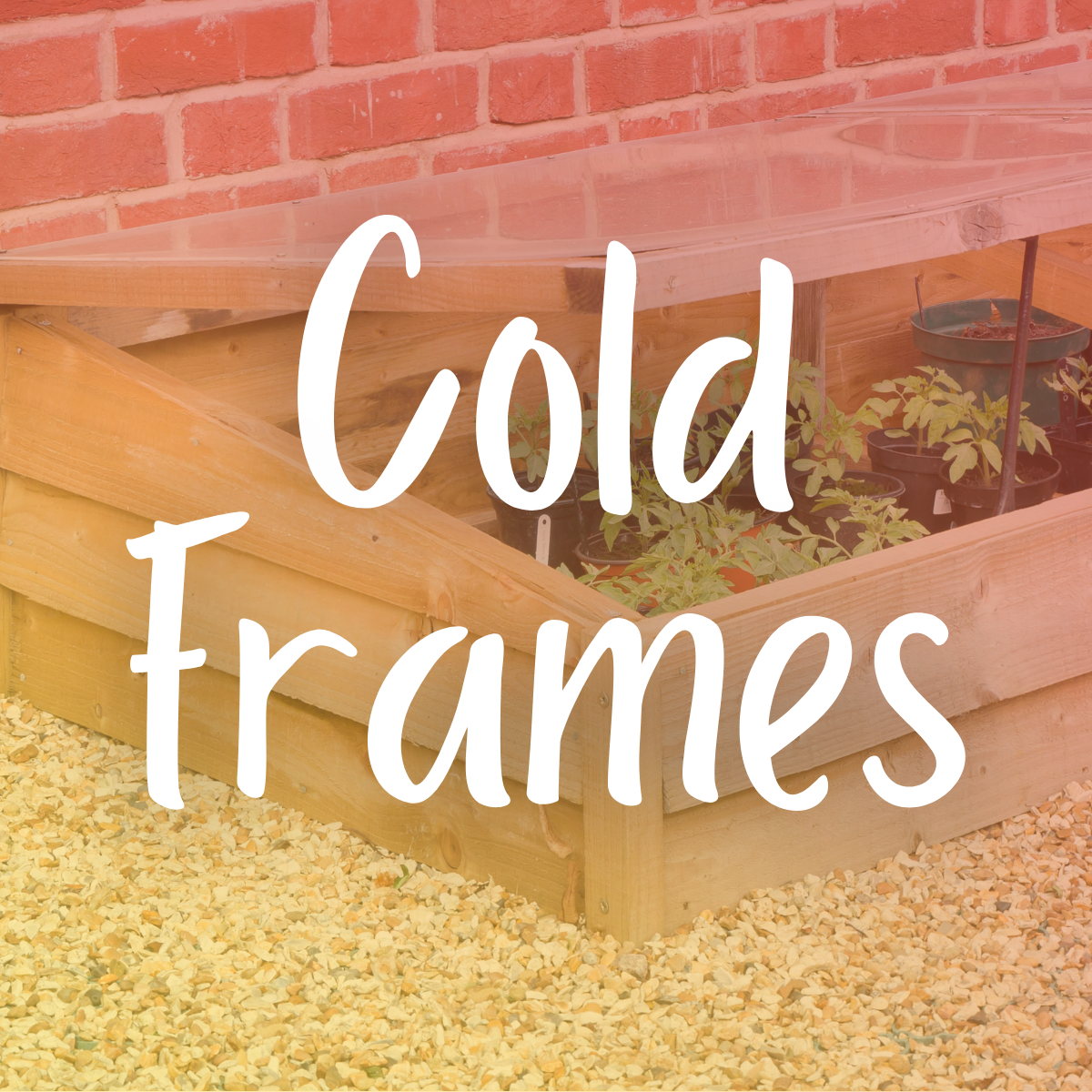 Cold Frames: How to Use Them – Scott's Nursery Ltd.