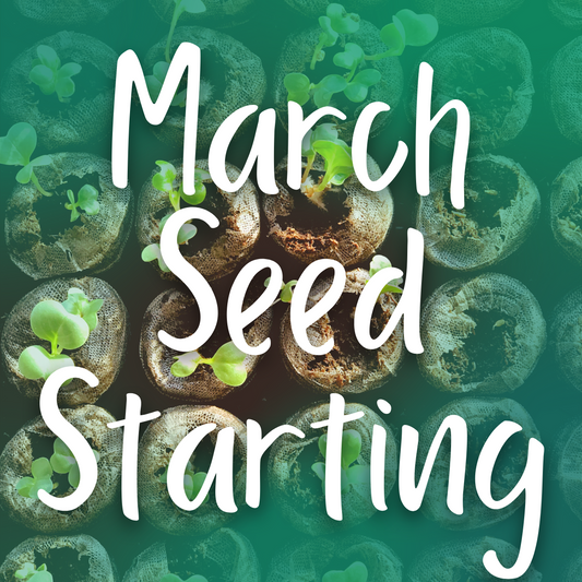 March Seed Starting!