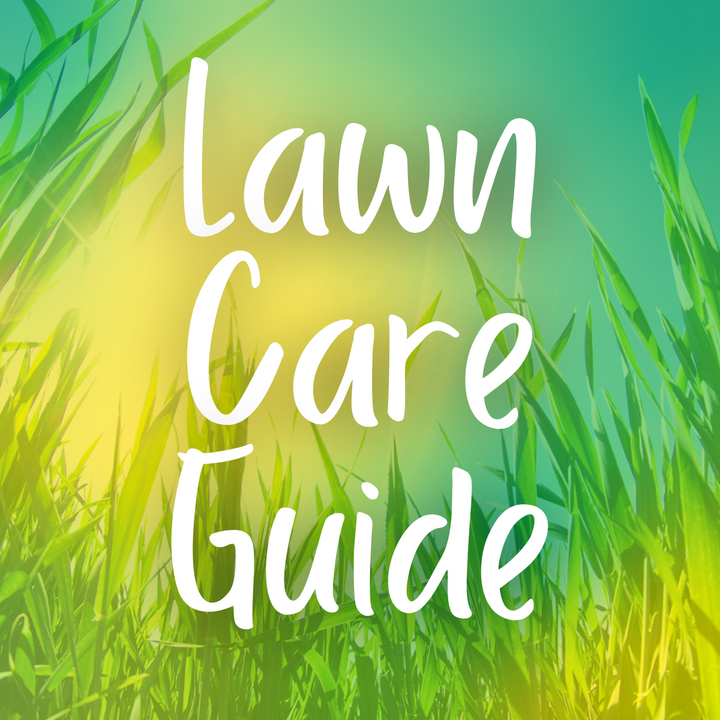 Lawn Care Guide
