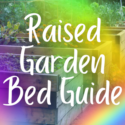 Raised Garden Bed Guide