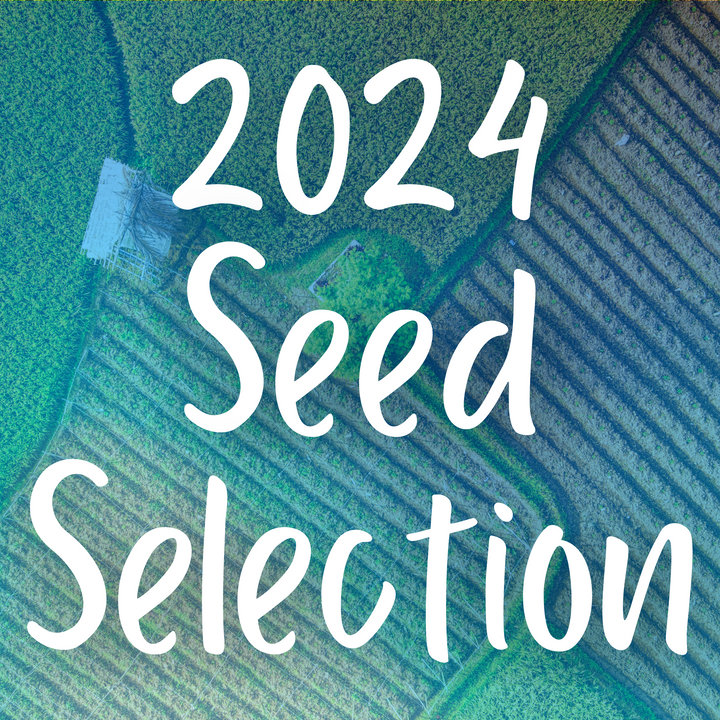 2024 Seed Selections!