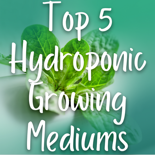 Top 5 Hydroponic Growing Mediums