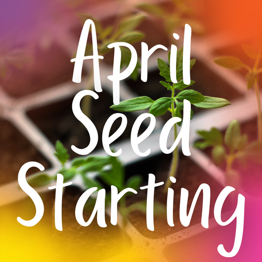 April Seed Starting