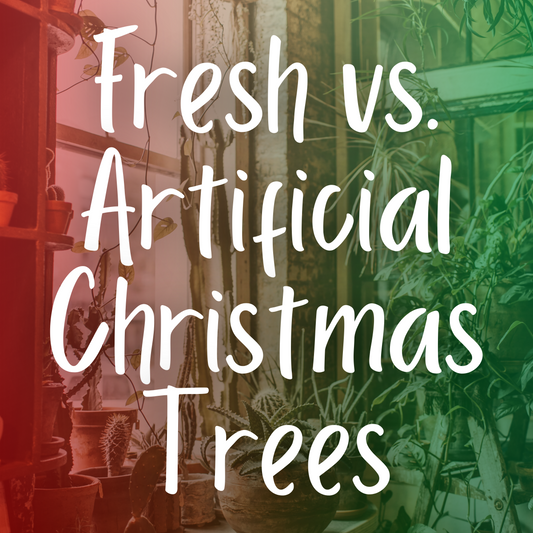 Fresh vs. Artificial Christmas Trees
