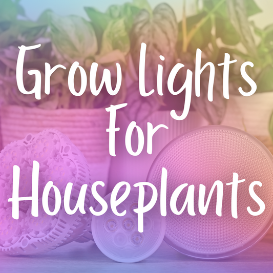 Grow Lights For Houseplants