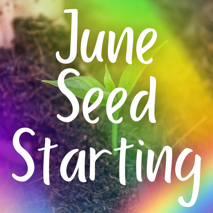 June Seed Starting