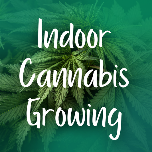 Indoor Cannabis Growing Guide