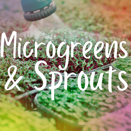 Growing Microgreens & Sprouts