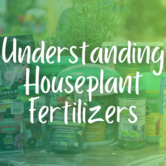 Understanding Houseplant Fertilizers