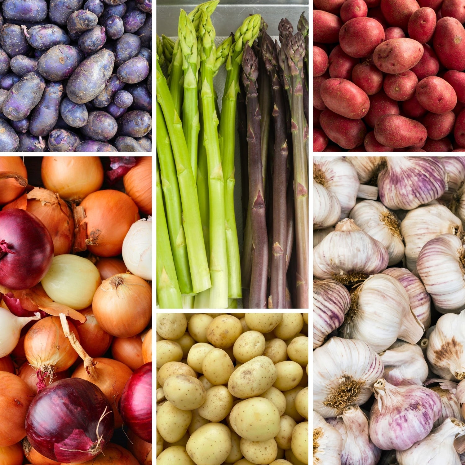 Bare Roots & Veggie Bulbs