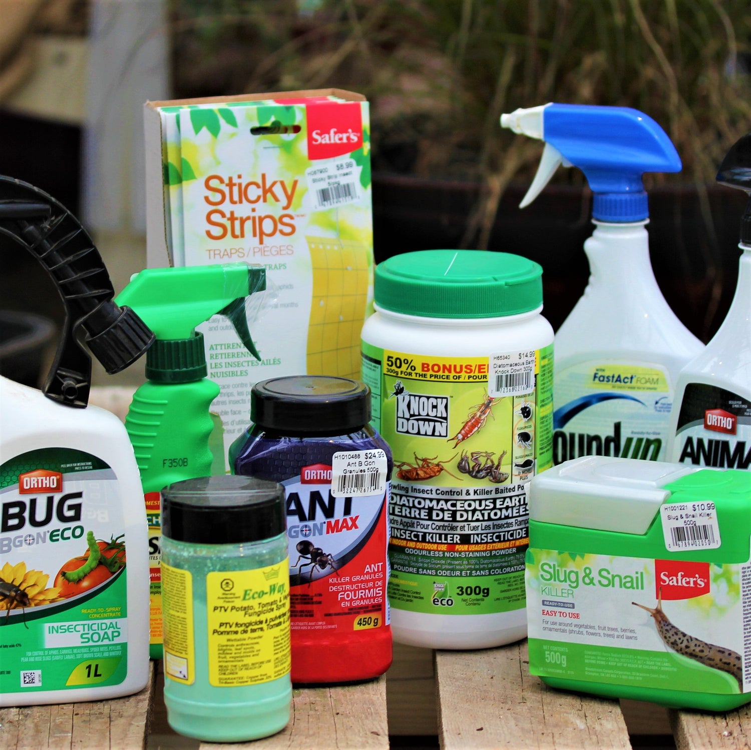 Pest & Disease Control
