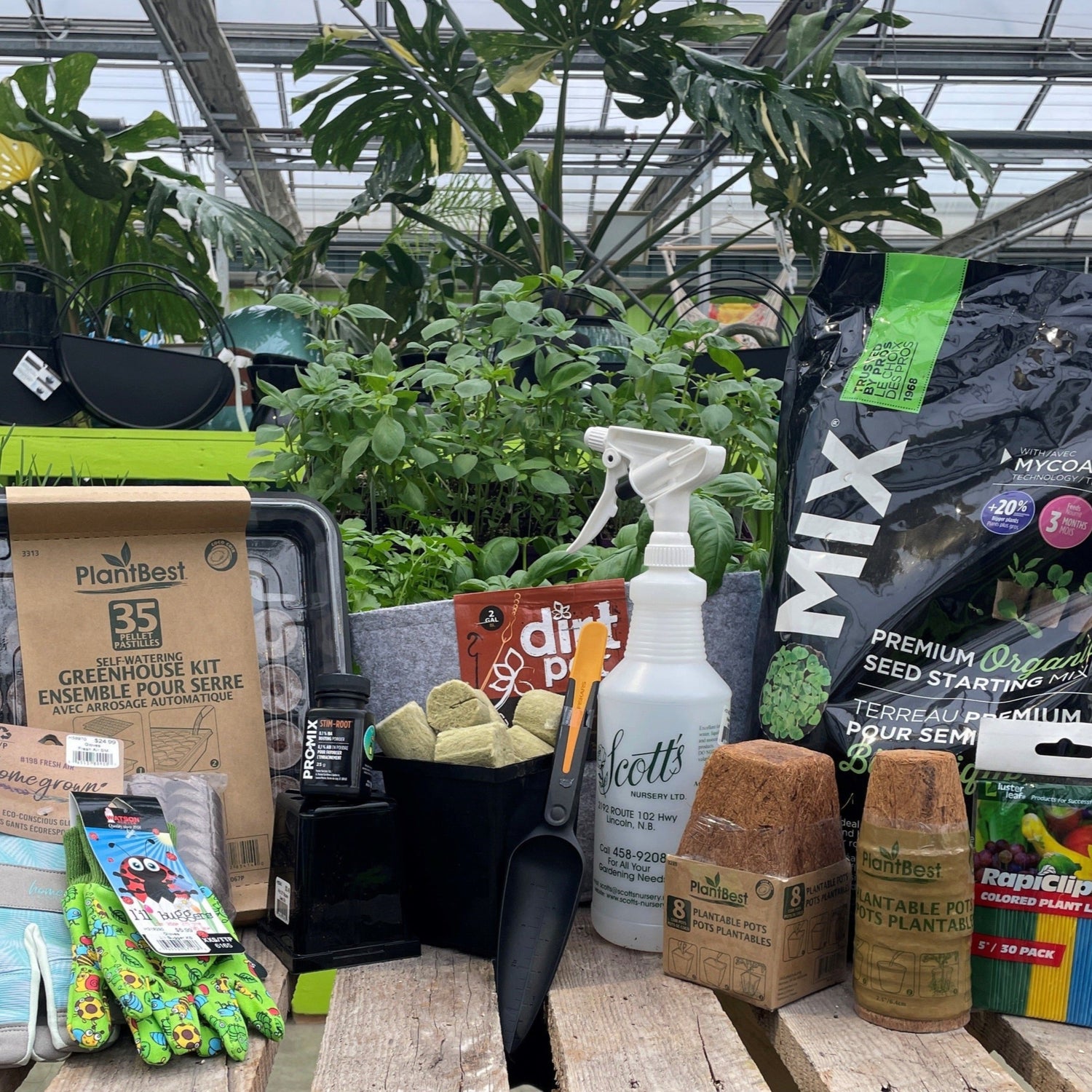 Seeding Supplies (Trays & Pots)